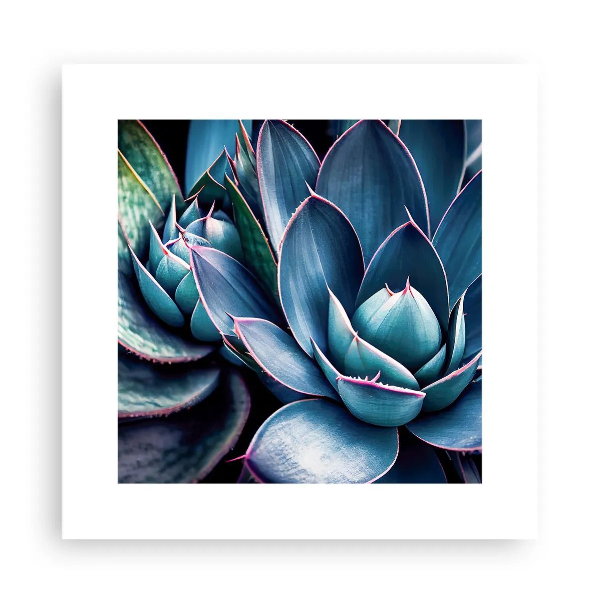 Poster - Levenskracht - 30x30 cm