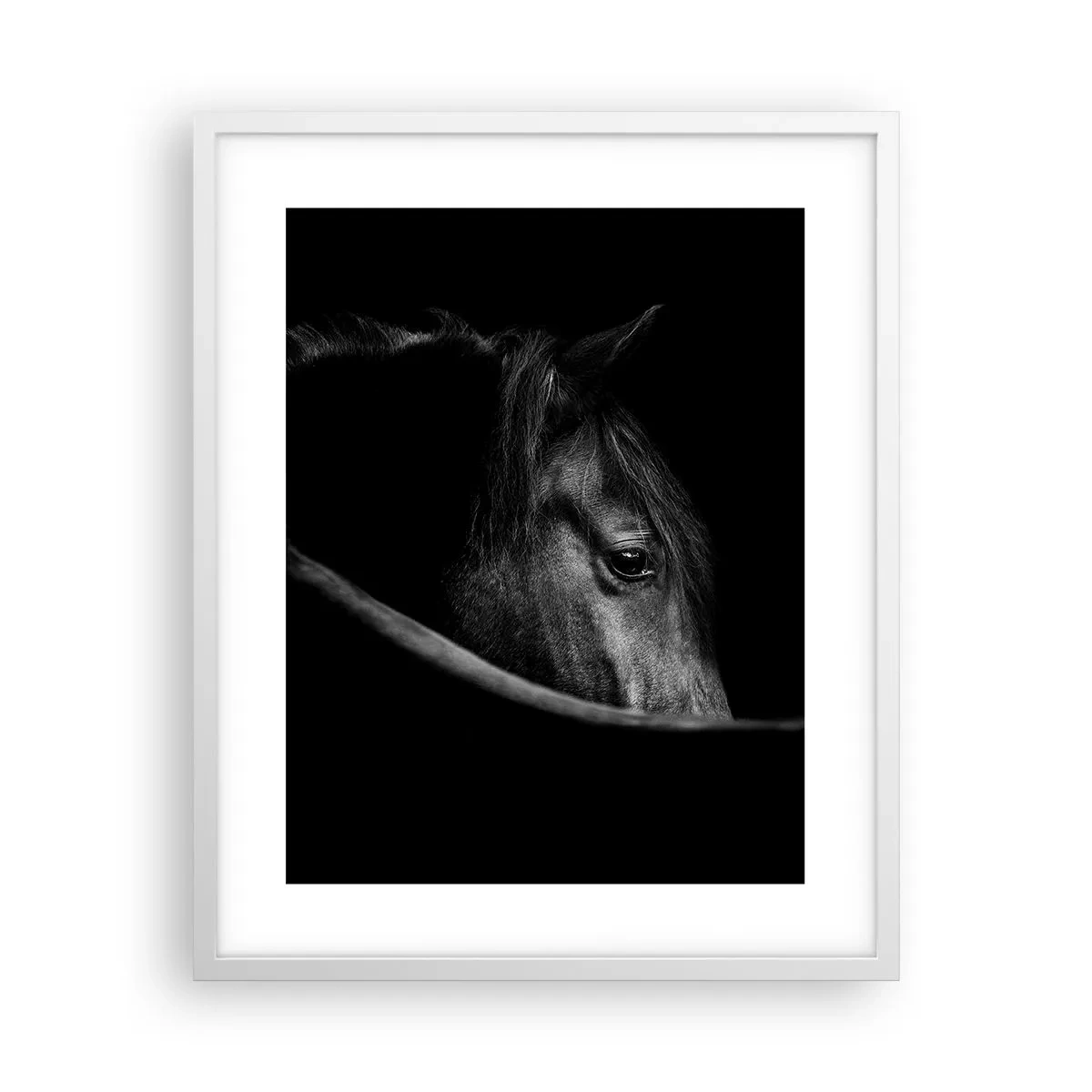 Poster in een witte lijst - Zwarte Prins - 40x50 cm