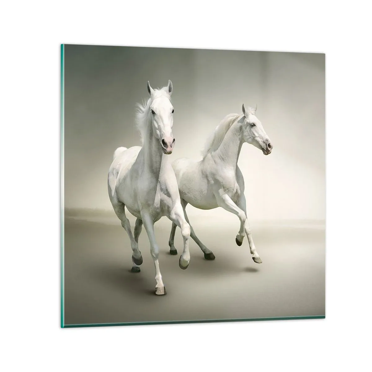 Schilderen op glas - White power! - 70x70 cm