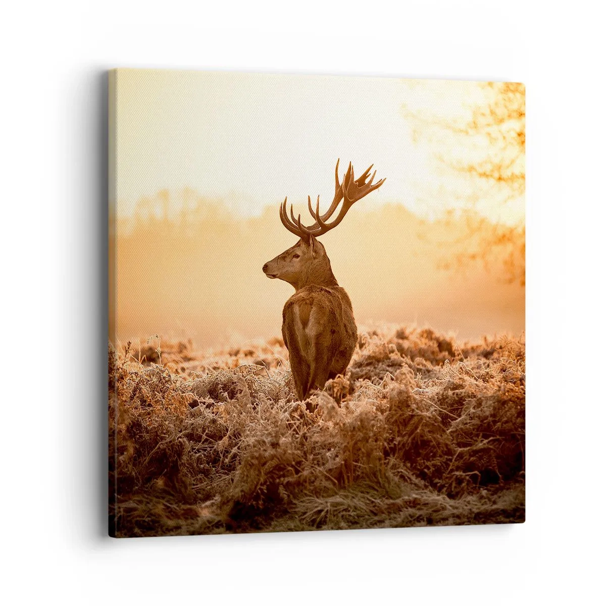 Schilderen op canvas - Heer van het landgoed - 40x40 cm