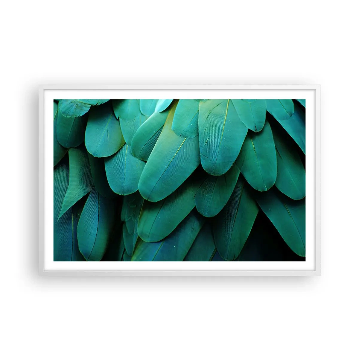 Poster in een witte lijst - Papegaaiachtige precisie - 91x61 cm