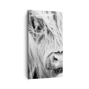 Schilderen op canvas - Schotse wildheid - 45x80 cm
