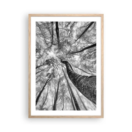 Een poster in een licht eiken lijst - Race naar het licht - 50x70 cm
