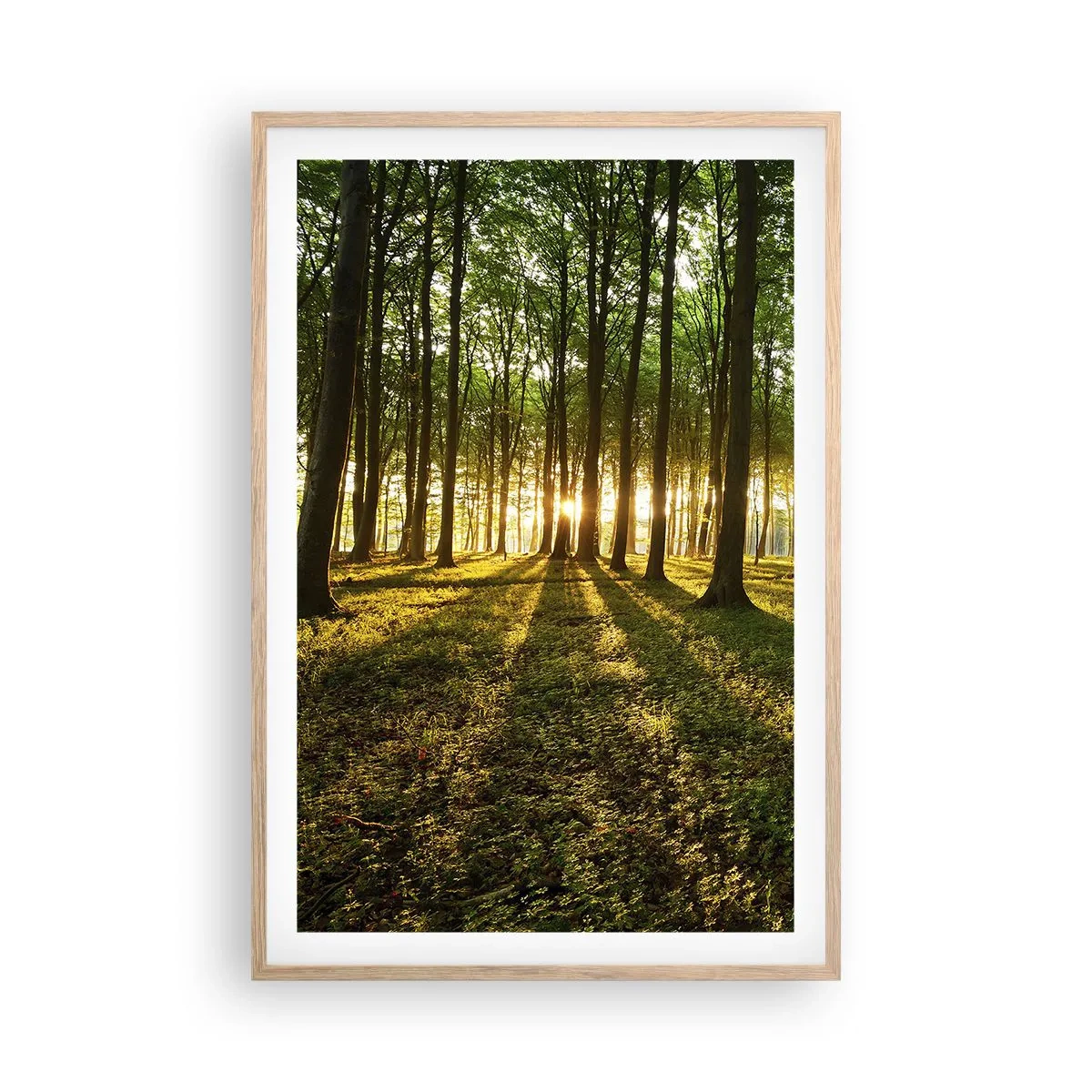 Een poster in een licht eiken lijst - Foto van de hele lente - 61x91 cm