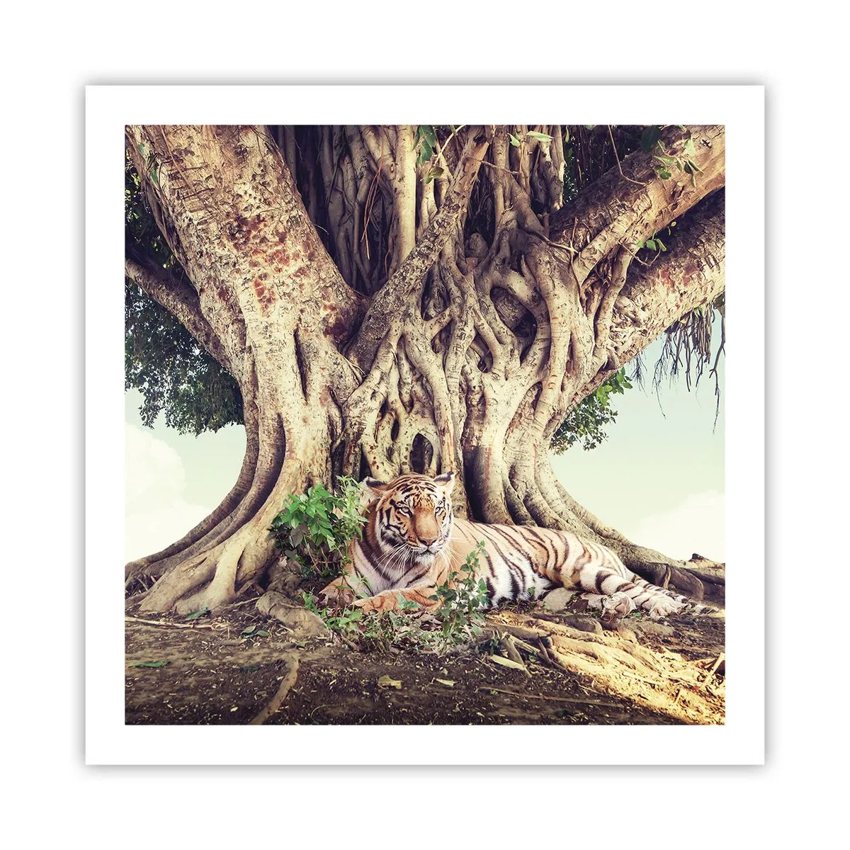 Poster - Uitzicht vanuit het boek Genesis - 60x60 cm