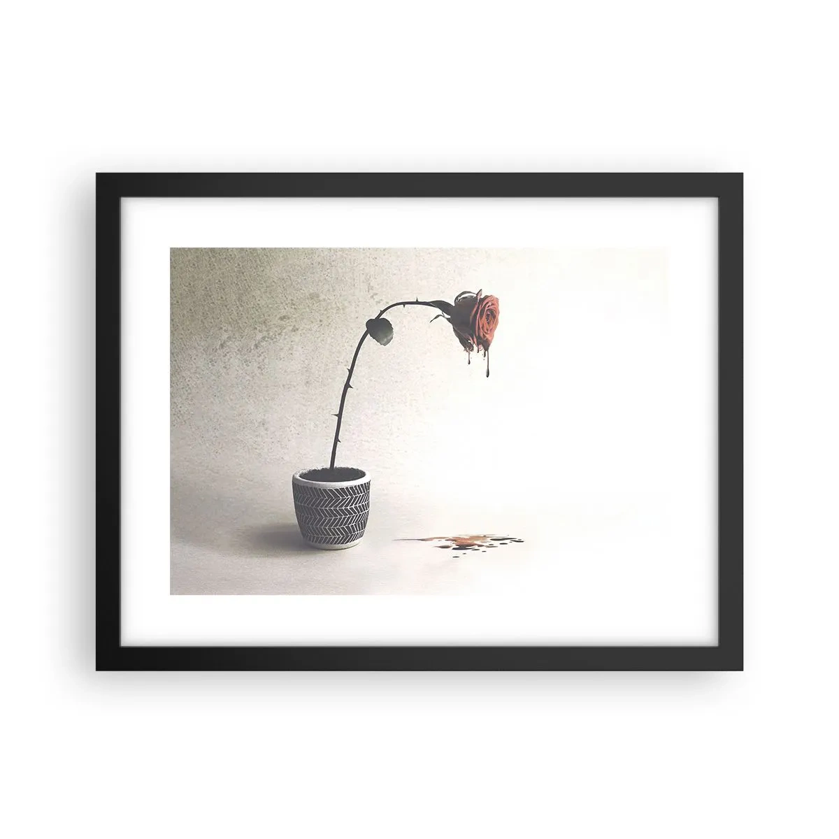 Poster in een zwarte lijst - Rosa dolorosa - 40x30 cm