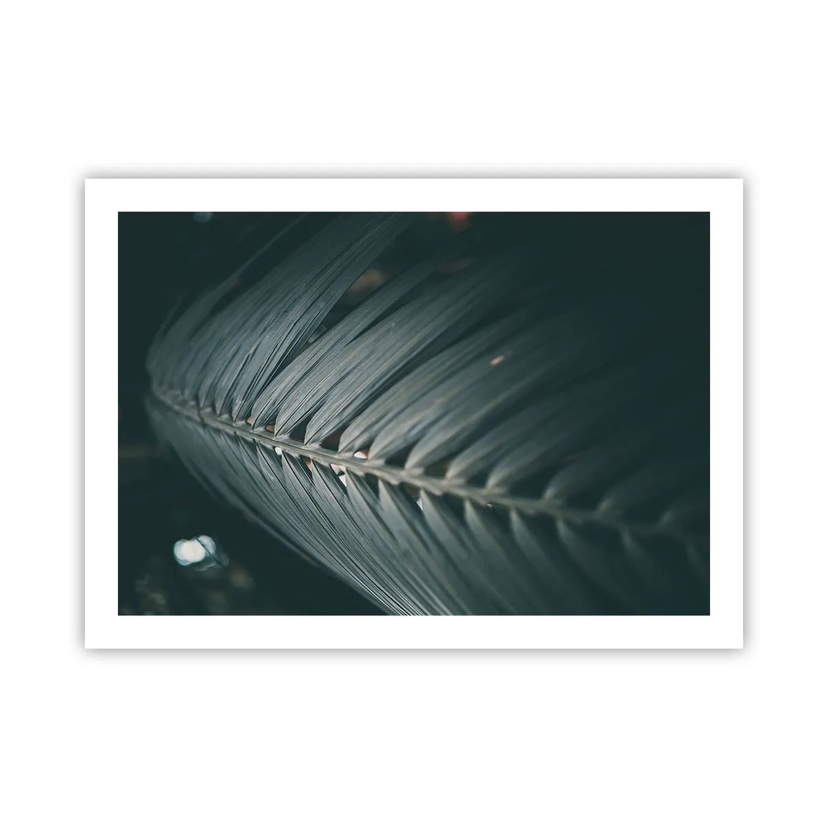 Poster - De precisie van de natuur - 70x50 cm