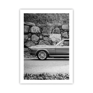 Poster - De legende van de jaren 60 - 50x70 cm