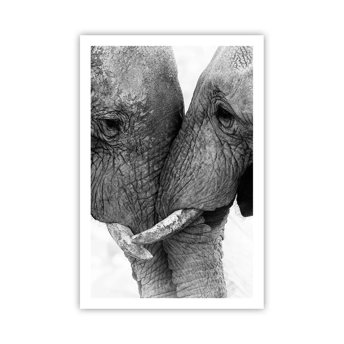 Poster - Oprechte bekentenis - 61x91 cm