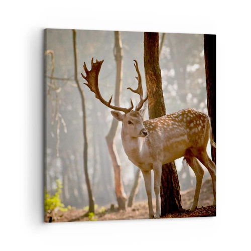 Schilderen op canvas - Het licht van de jeugd - 50x50 cm