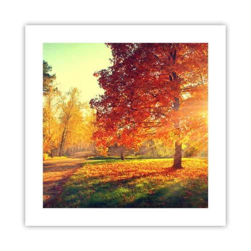 Poster - Rood is mooi - 40x40 cm