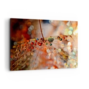 Schilderen op canvas - Geregen op een spinnendraad - 100x70 cm