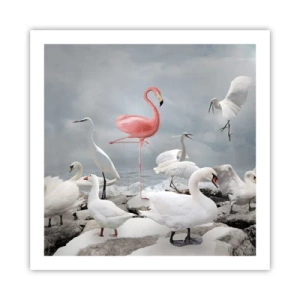 Poster - Hoe ben ik hier terecht gekomen? - 60x60 cm