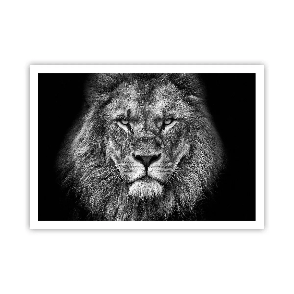 Poster - In een kroningskleed - 100x70 cm