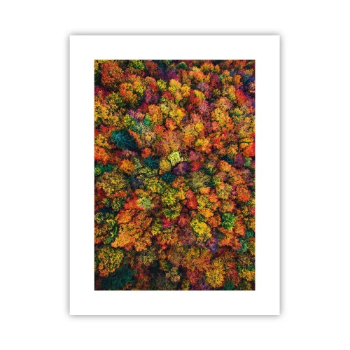 Poster - Boeket herfstbomen - 30x40 cm