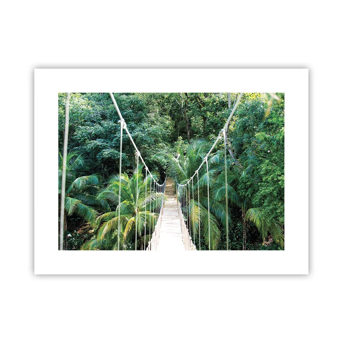 Poster - Welkom in de jungle! - 40x30 cm