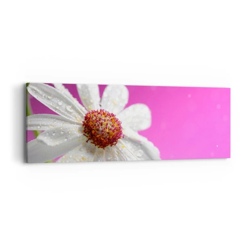 Schilderen op canvas - Bescheiden in zijn schoonheid - 90x30 cm
