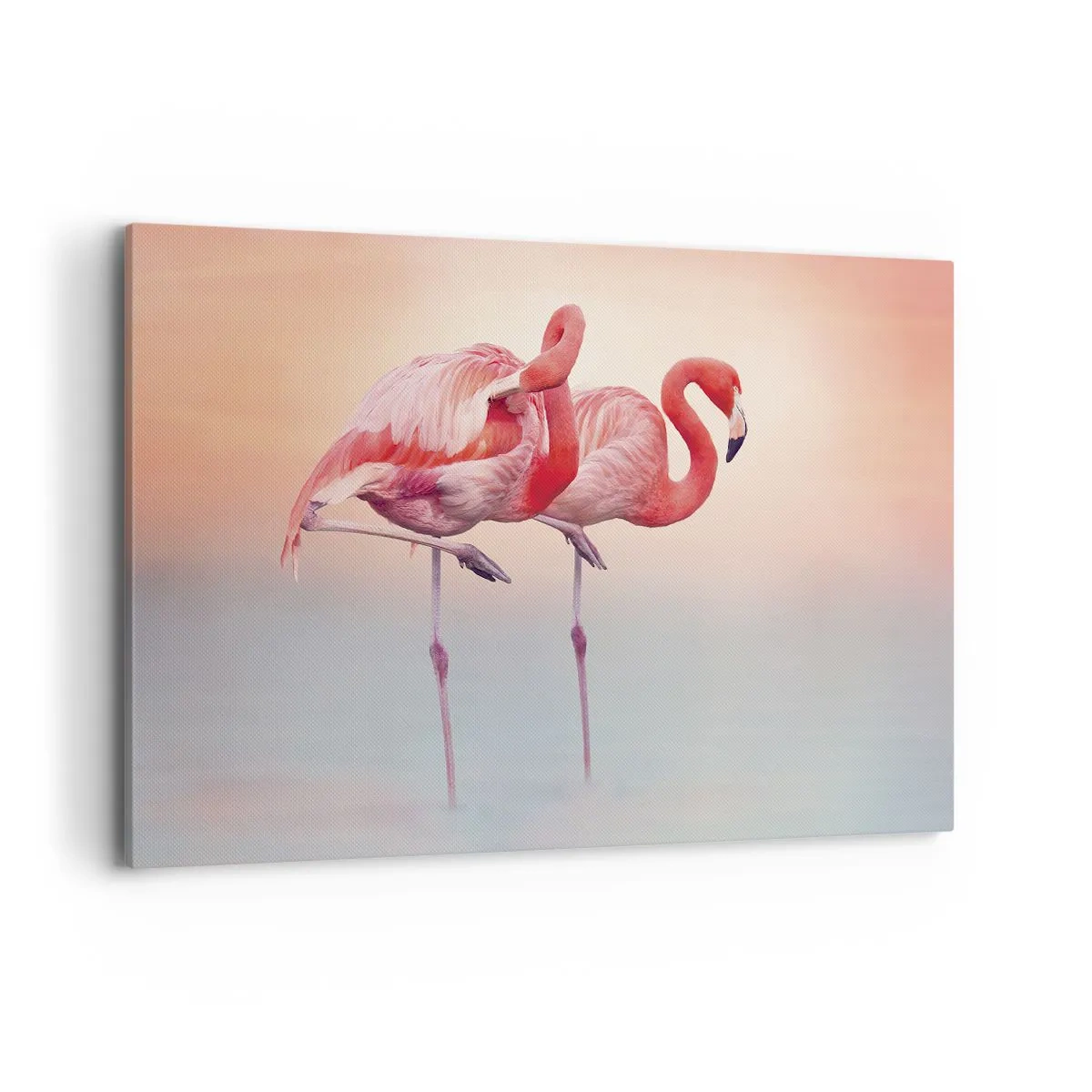 Schilderen op canvas - De kleur van de ondergaande zon - 120x80 cm