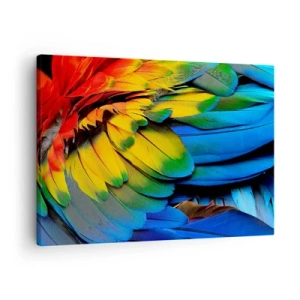 Schilderen op canvas - Een close-up van de kleurrijke veren van een papegaai - 70x50cm - Paradijsvogel - Moderne wanddecoratie voor woonkamer en slaapkamer ARTTOR