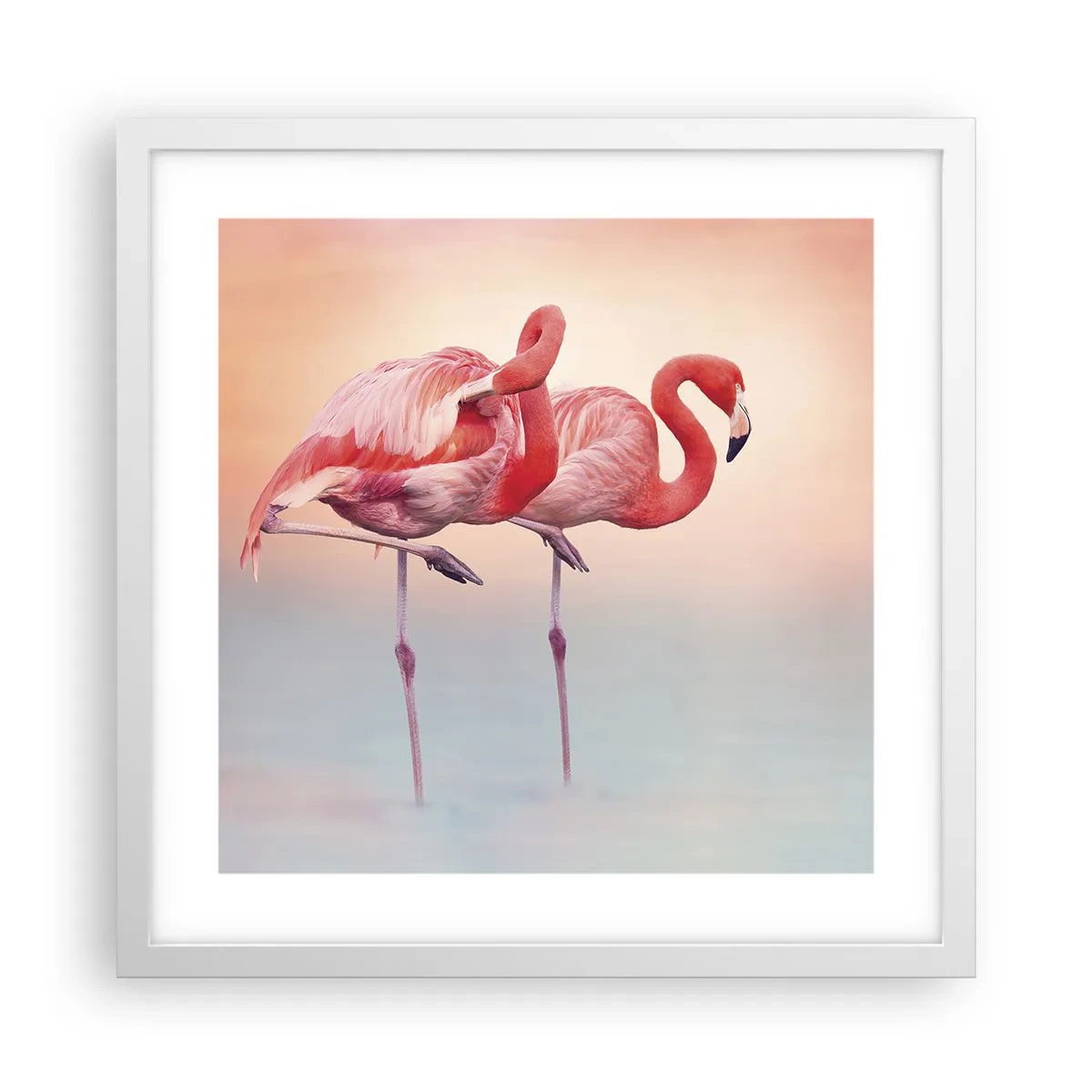 Poster in een witte lijst - De kleur van de ondergaande zon - 40x40 cm