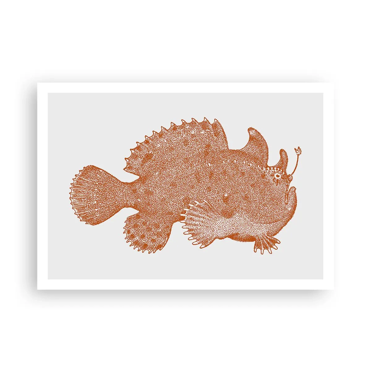 Poster - En toch een vis - 100x70 cm