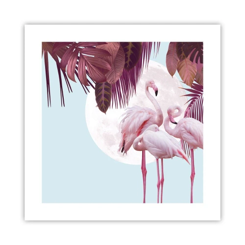 Poster - Drie vogel genaden - 40x40 cm