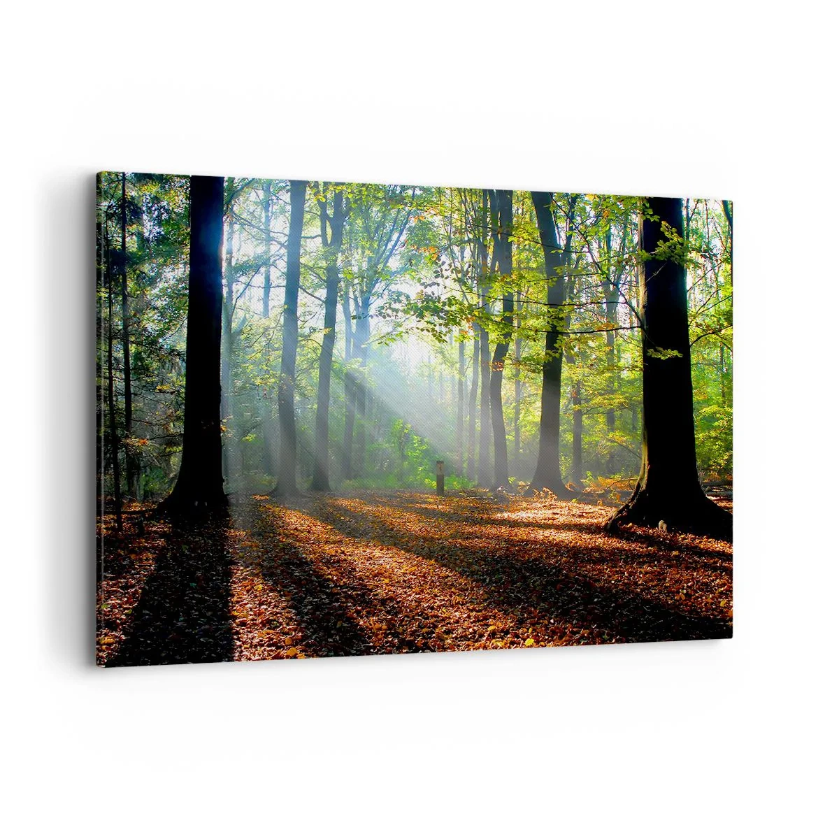 Schilderen op canvas - Lichten en schaduwen - 120x80 cm