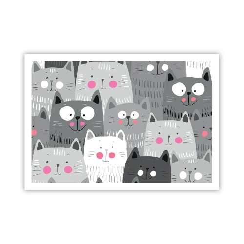 Poster - De wereld van de kat - 100x70 cm