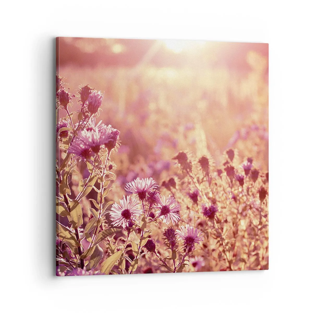 Schilderen op canvas - Voordat de zomer voorbij is - 70x70 cm