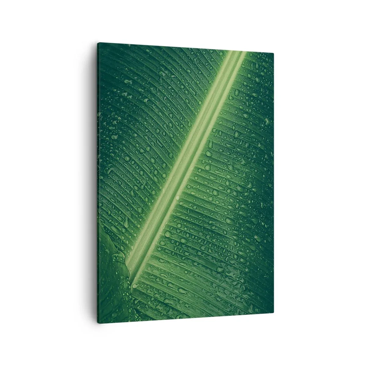 Schilderen op canvas - De structuur van groen - 50x70 cm