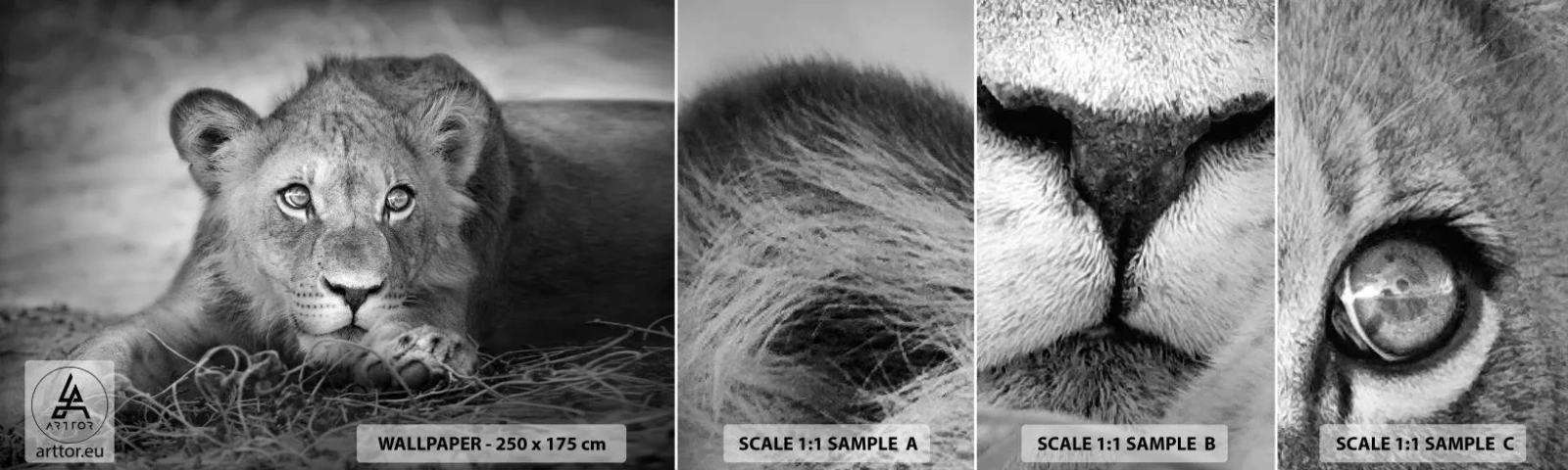 Fotobehang Monster Zelfklevend Deluxe Sticker - Koninklijke puppy - Dieren, Leeuw, Zwart en wit - 100x30 cm