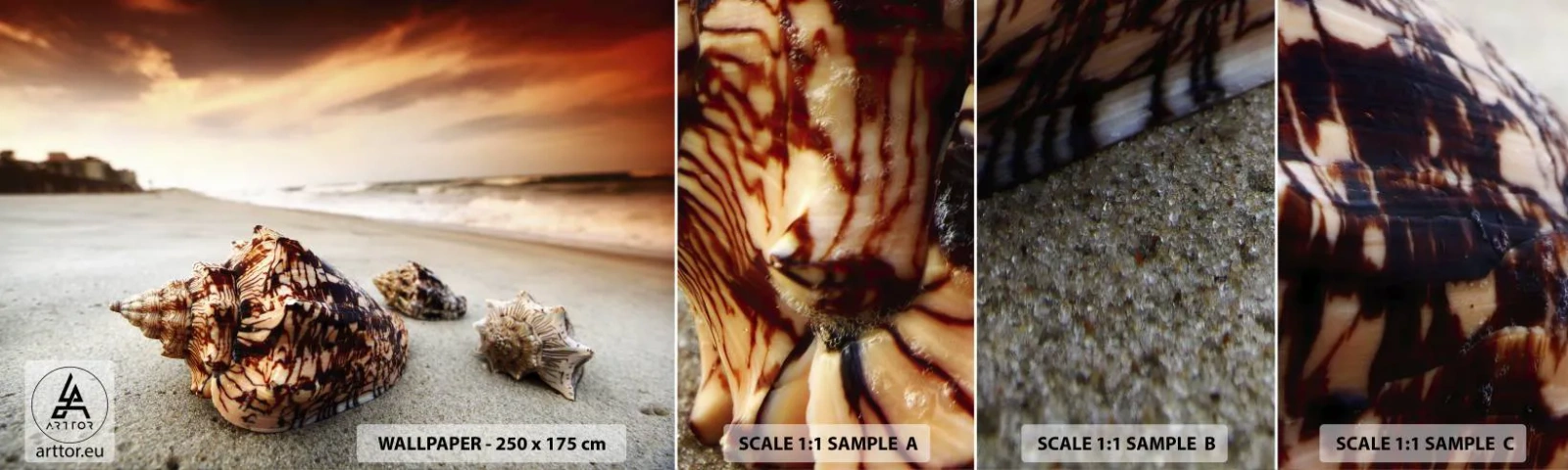 Fotobehang Monster Zelfklevend Deluxe Sticker - Outcasts van golven - Landschap, Zee, Zeeschelp - 100x30 cm