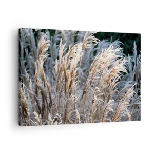 Schilderen op canvas - Winterse grassprieten bedekt met rijp tegen een donkergroene achtergrond - 70x50cm - Gekleed met vorst - Moderne wanddecoratie voor woonkamer en slaapkamer ARTTOR