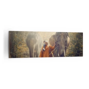 Schilderen op canvas - Volledig begrip - 160x50 cm