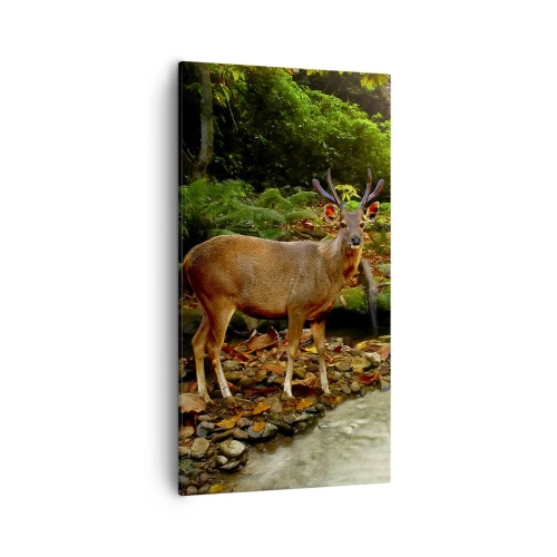 Schilderen op canvas - Welkom in mijn wereld - 55x100 cm