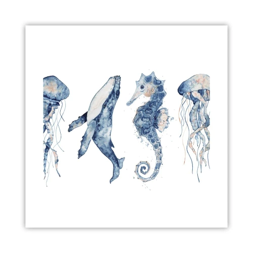 Poster - Zee wonderen - 40x40 cm