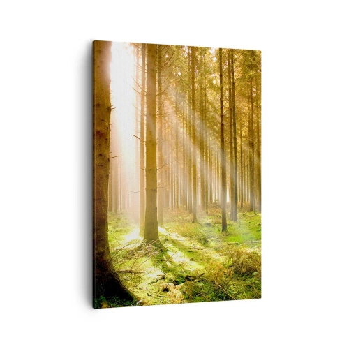 Schilderen op canvas - De elfjes zullen spoedig verschijnen - 50x70 cm