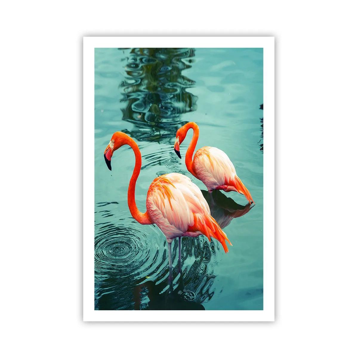 Poster - We zijn nu in de mode - 61x91 cm