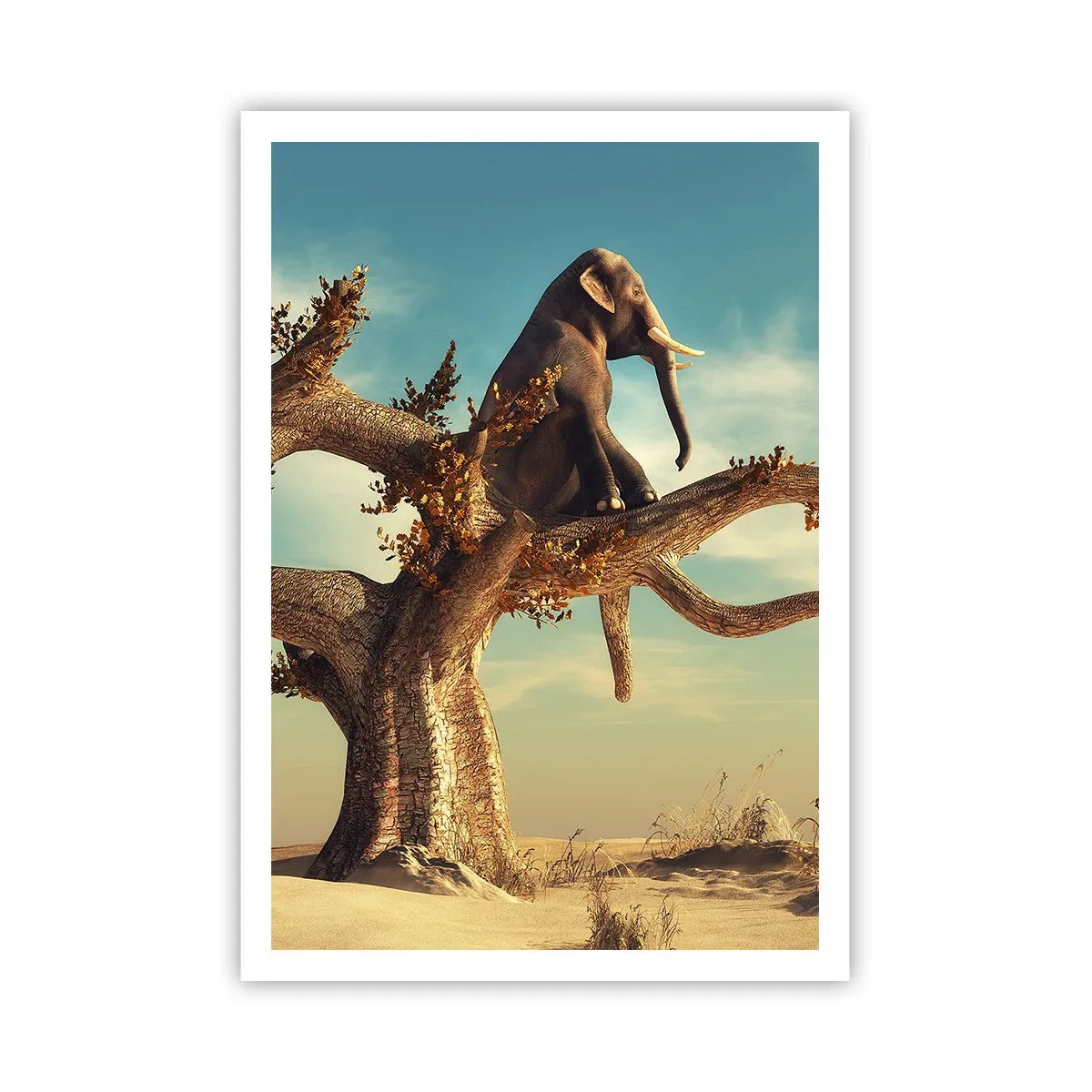 Poster - Een nieuw gezichtspunt - 70x100 cm