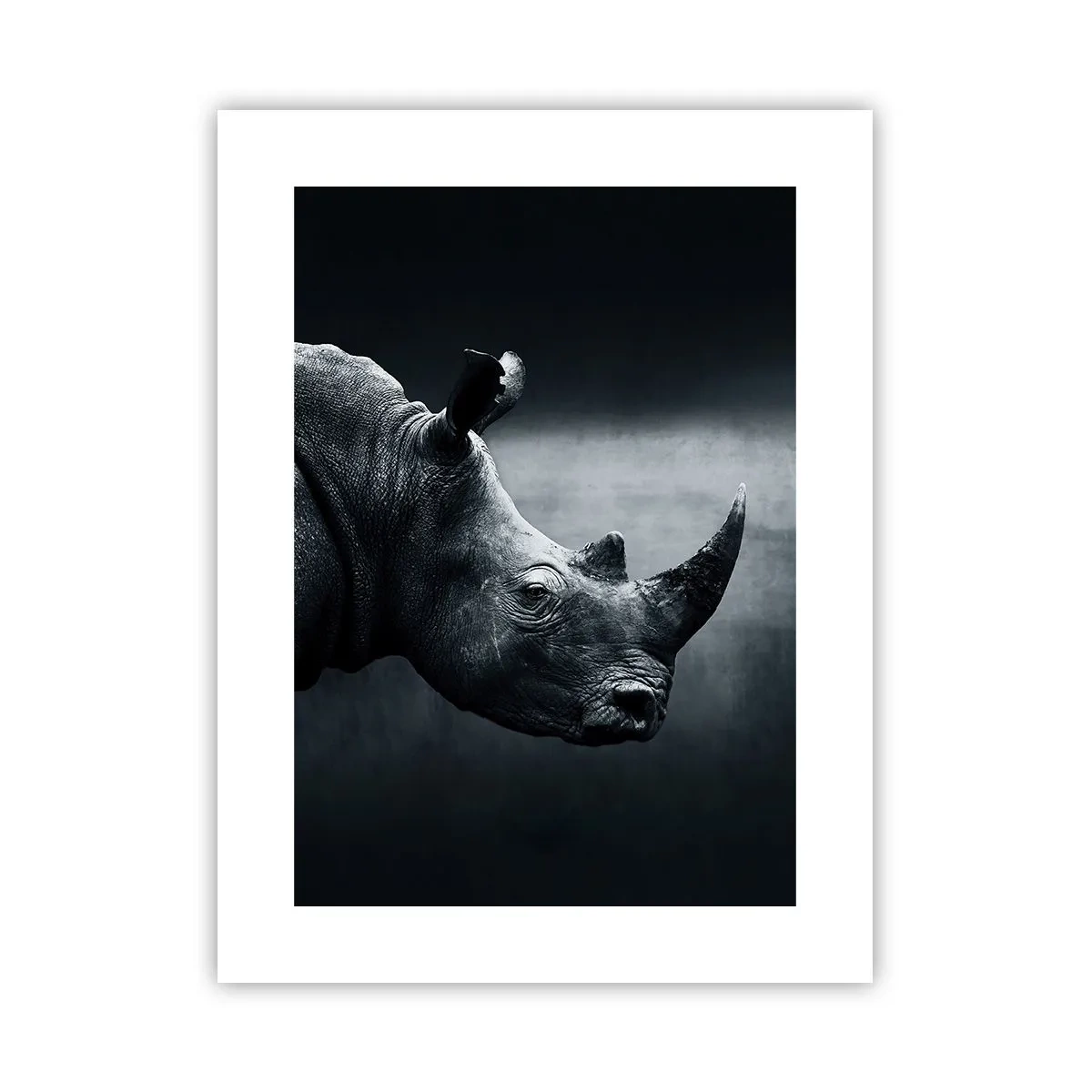 Poster - Rechts profiel - 30x40 cm