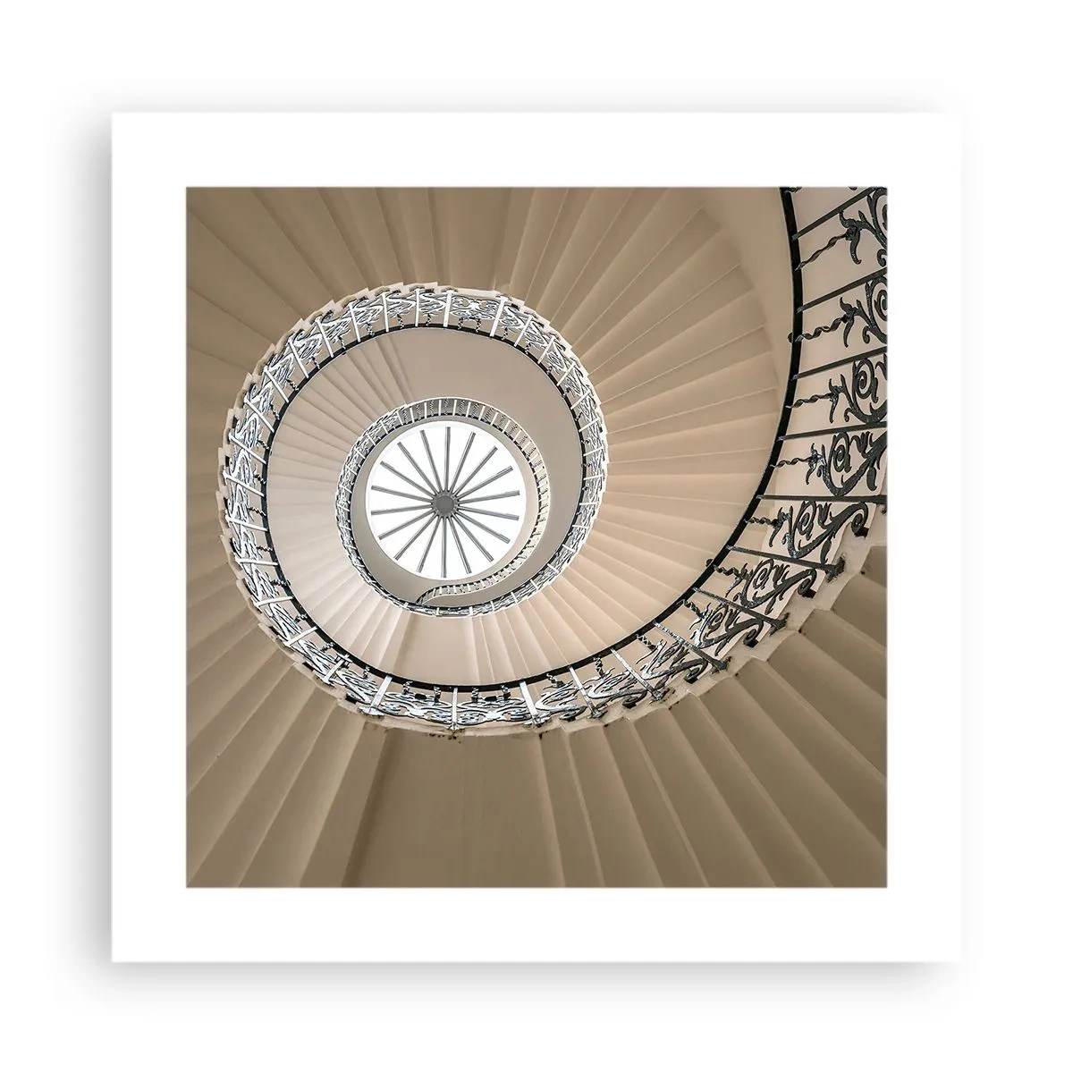 Poster - Binnenin de schaal - 40x40 cm