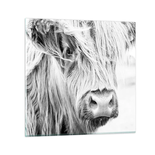 Schilderen op glas - Schotse wildheid - 60x60 cm