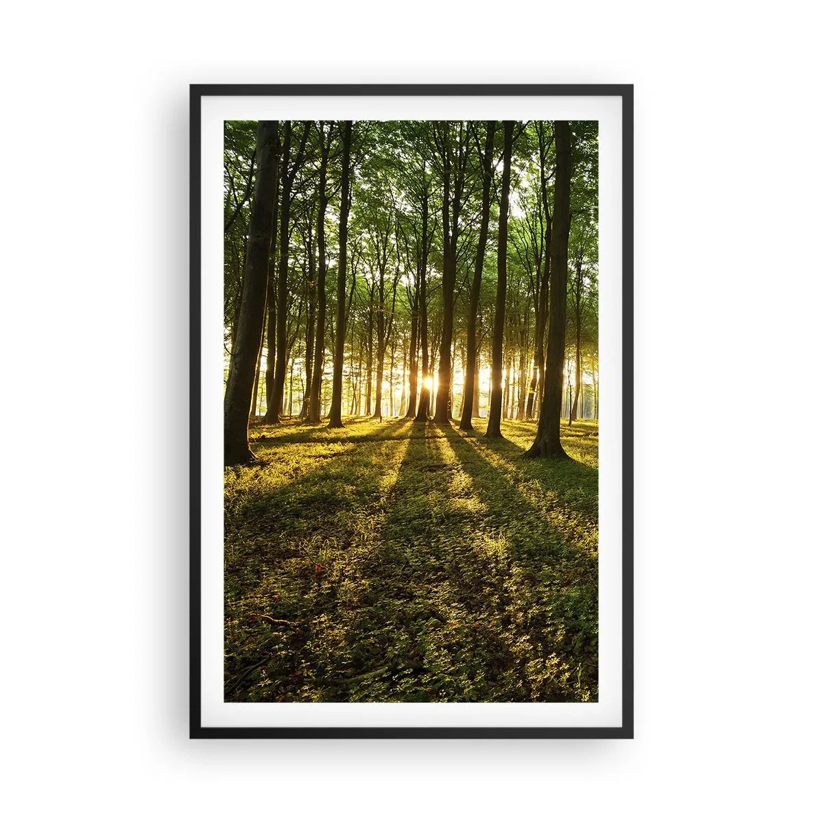Poster in een zwarte lijst - Foto van de hele lente - 61x91 cm