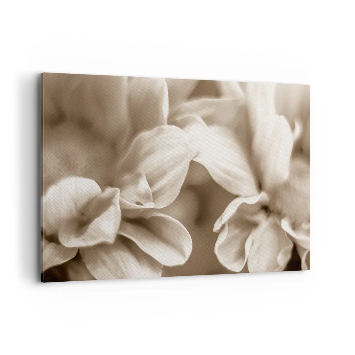 Schilderen op canvas - Zo zacht als een glimlach - 120x80 cm