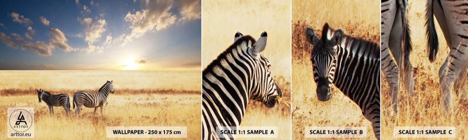 Fotobehang Monster Zelfklevend Deluxe Sticker - Ga weg, verstoor onze vrede niet - Dieren, Ribben, Safari - 100x30 cm