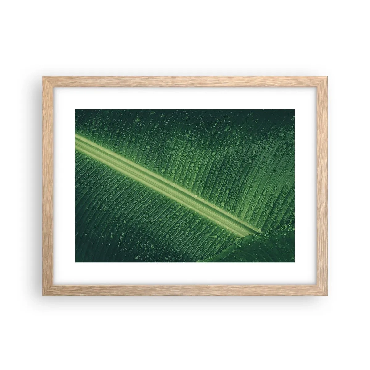 Een poster in een licht eiken lijst - De structuur van groen - 40x30 cm