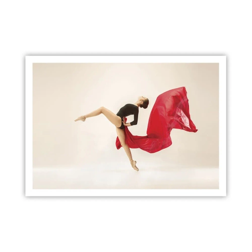 Poster - rood en zwart - 100x70 cm