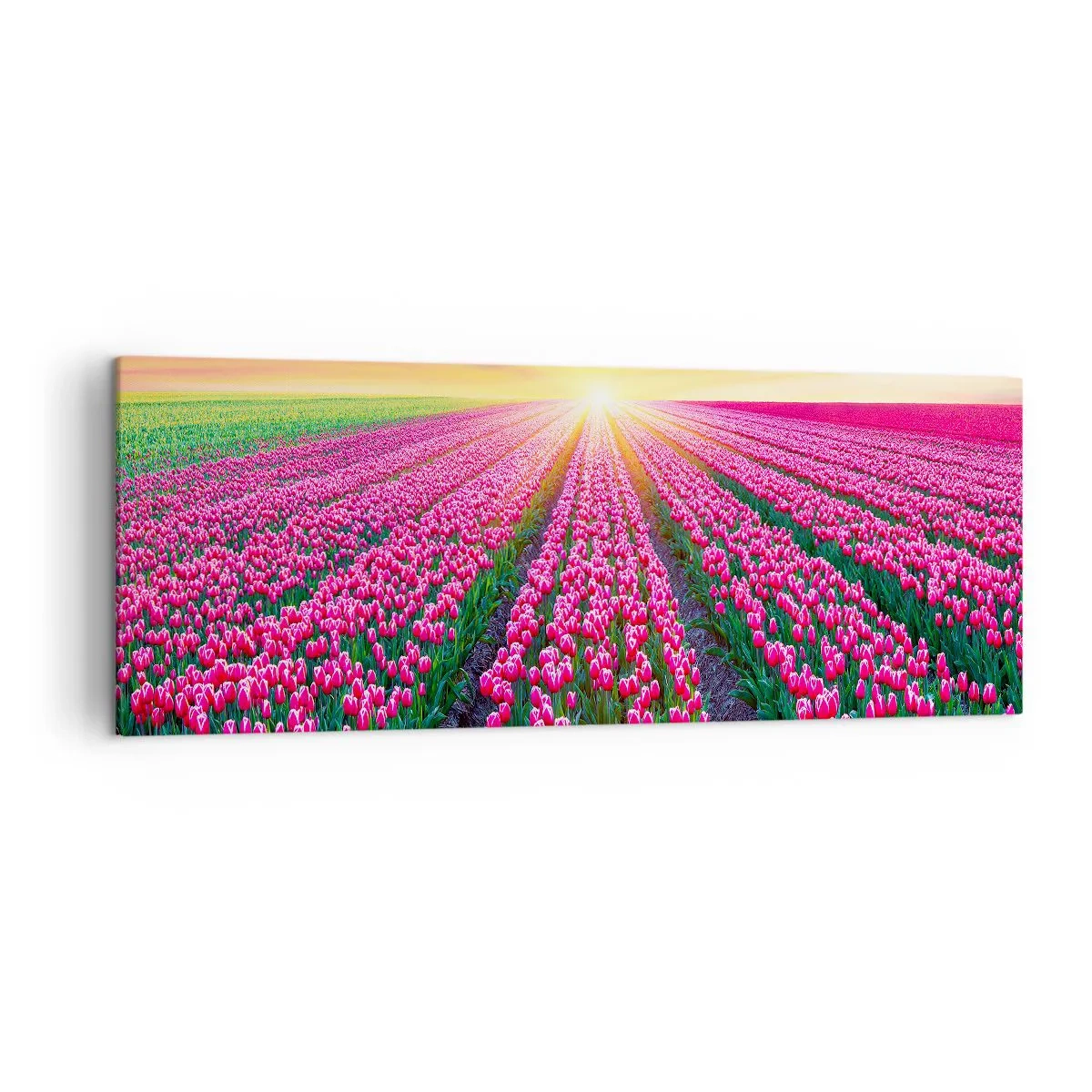 Schilderen op canvas - Beautyfarm - 140x50 cm