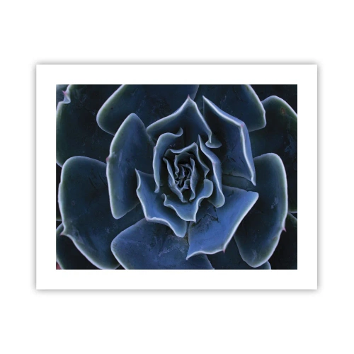 Poster - Woestijn bloem - 50x40 cm