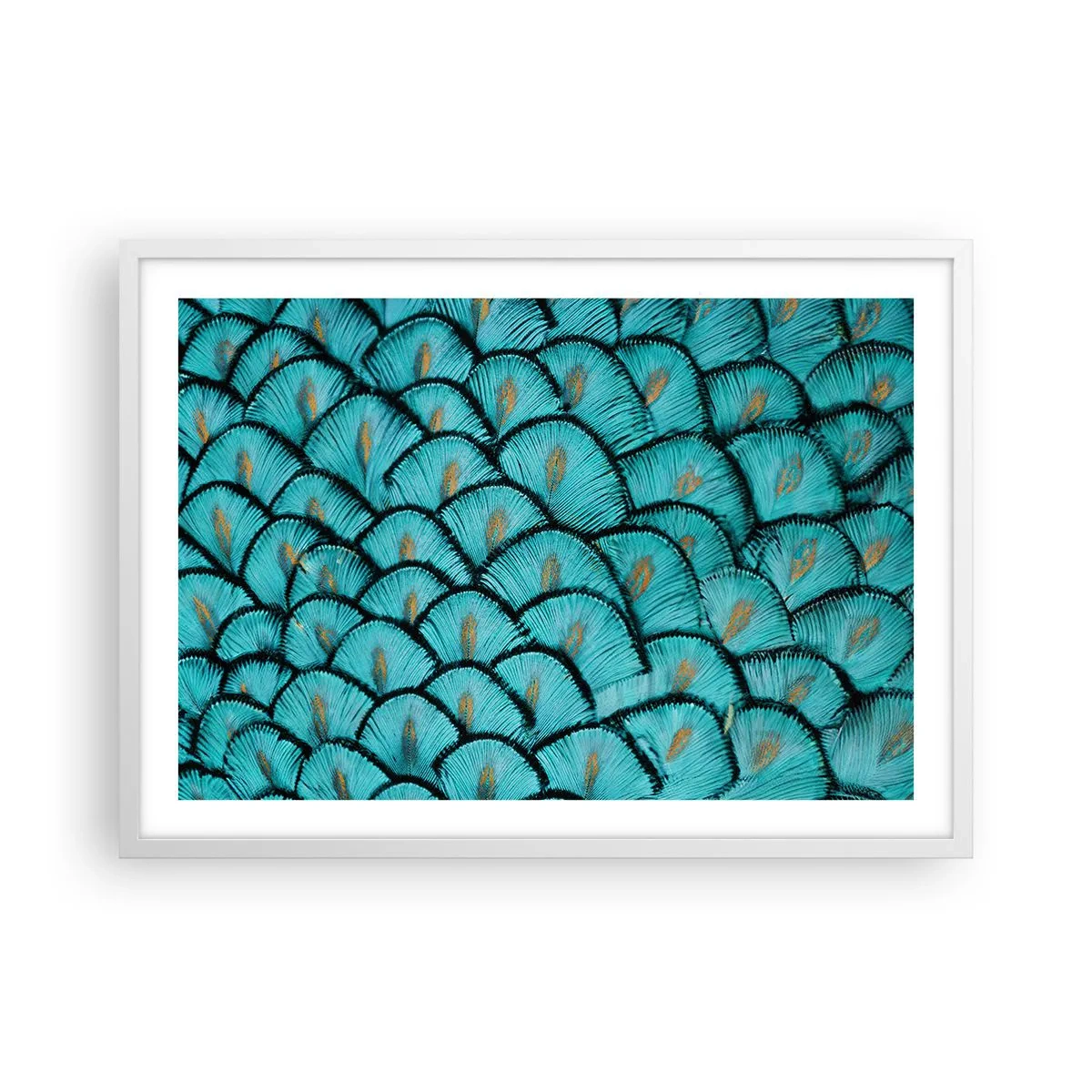 Poster in een witte lijst - Het grote verengala - 70x50 cm